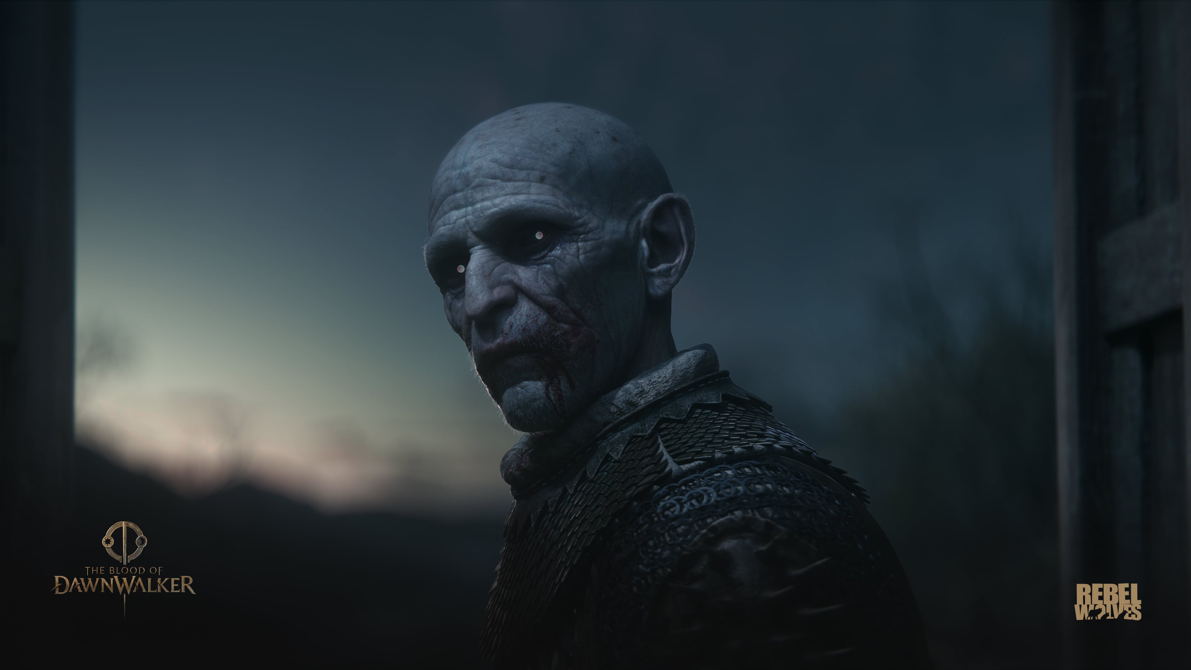 10 curiosità su The Blood of Dawnwalker
